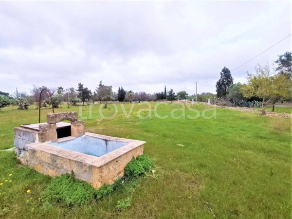 terreno agricolo in vendita ad Alezio