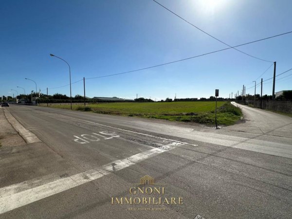 terreno agricolo in vendita ad Alezio