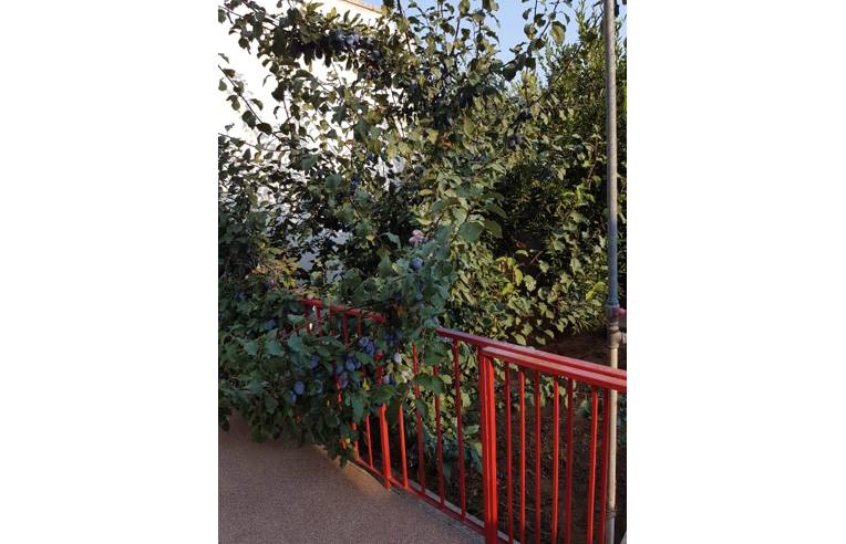 casa indipendente in vendita ad Alezio