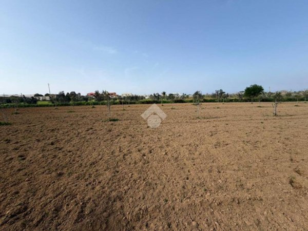 terreno agricolo in vendita ad Alezio