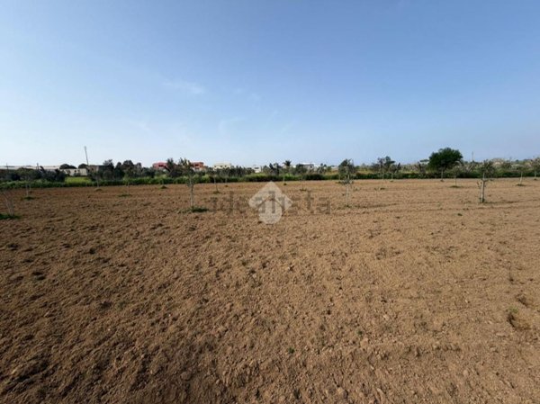 terreno agricolo in vendita ad Alezio