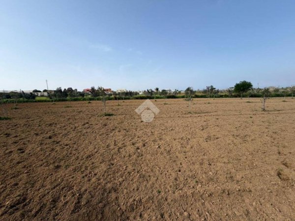 terreno agricolo in vendita ad Alezio