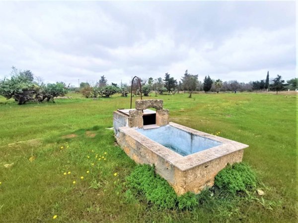 terreno agricolo in vendita ad Alezio