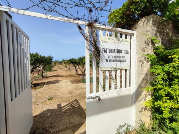 negozio in vendita ad Alezio