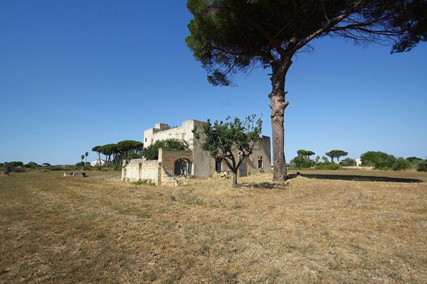 pentavano in vendita ad Alezio