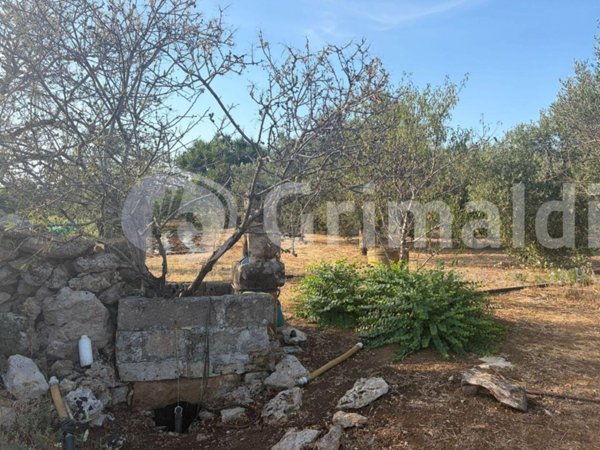terreno agricolo in vendita ad Alezio