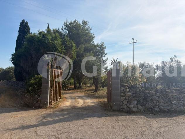 terreno agricolo in vendita ad Alezio