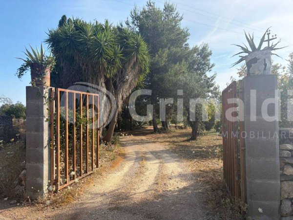 terreno agricolo in vendita ad Alezio