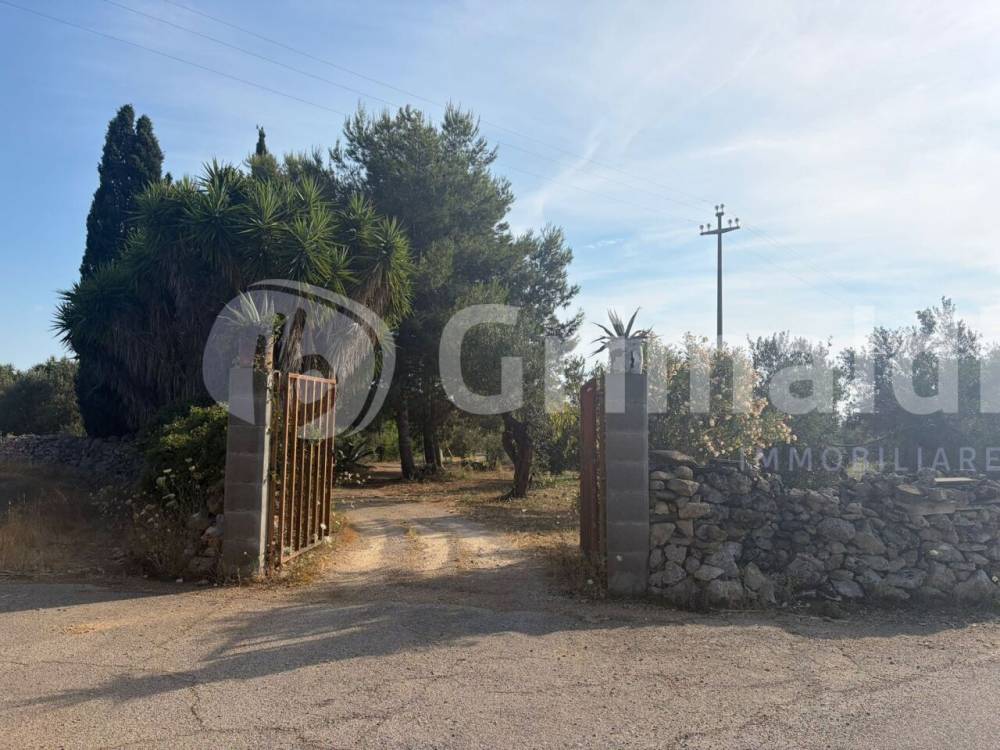 terreno agricolo in vendita ad Alezio