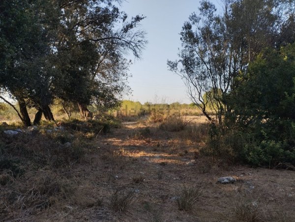 trullo in vendita ad Alezio