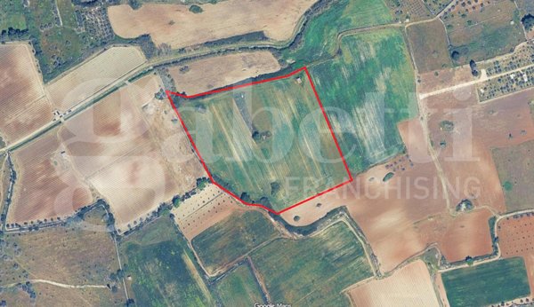 terreno agricolo in vendita ad Alezio