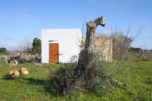 terreno edificabile in vendita ad Alezio