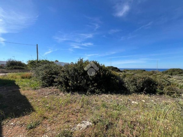terreno agricolo in vendita ad Alliste in zona Posto Rosso