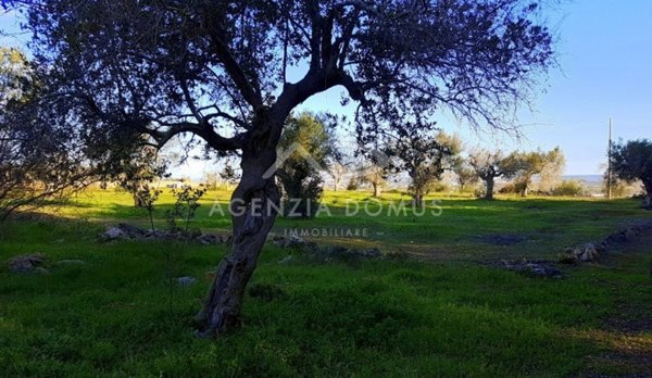 terreno agricolo in vendita ad Alliste in zona Felline