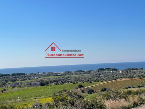 azienda agricola in vendita ad Alliste in zona Felline