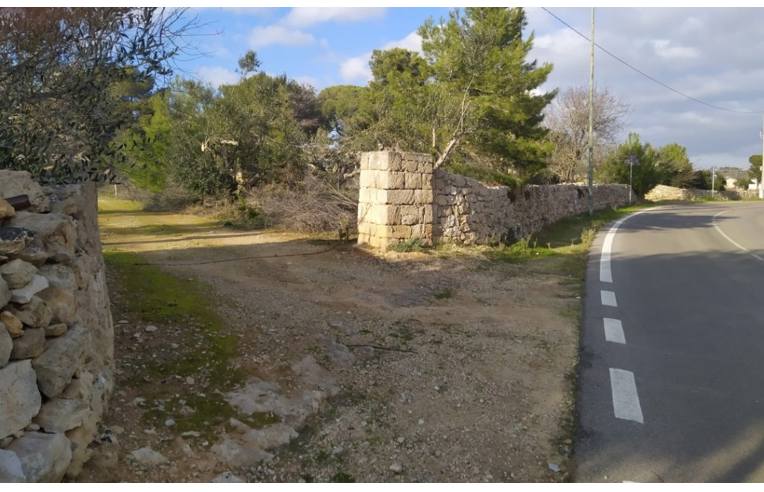 terreno agricolo in vendita ad Alliste in zona Felline
