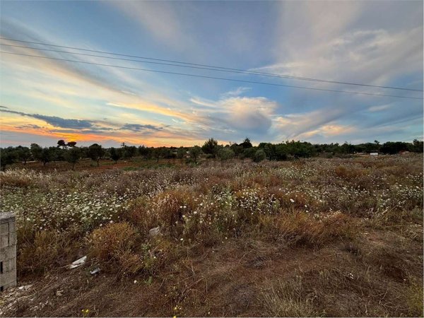 terreno in vendita ad Alliste