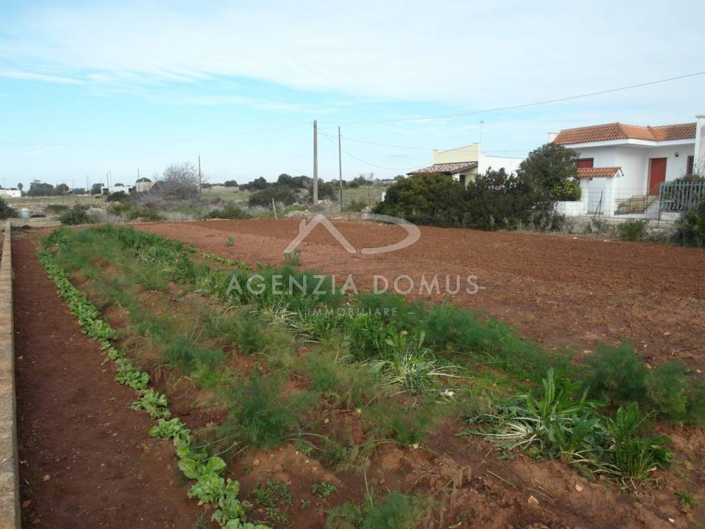 terreno agricolo in vendita ad Alliste