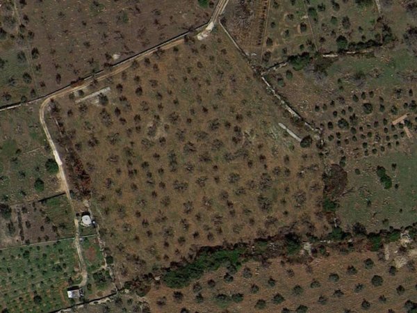terreno agricolo in vendita ad Alliste