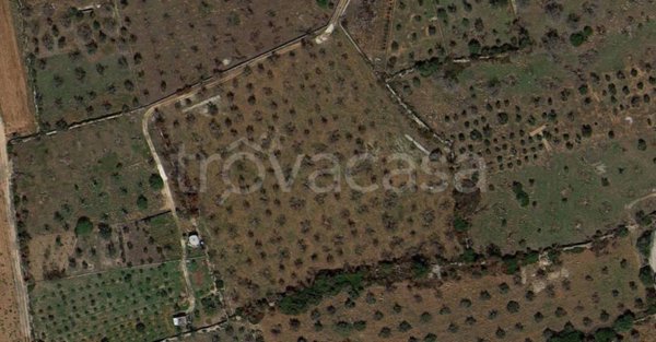 terreno agricolo in vendita ad Alliste