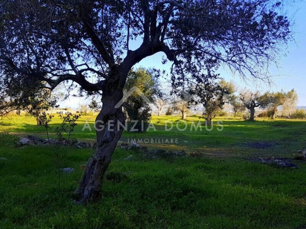 terreno agricolo in vendita ad Alliste