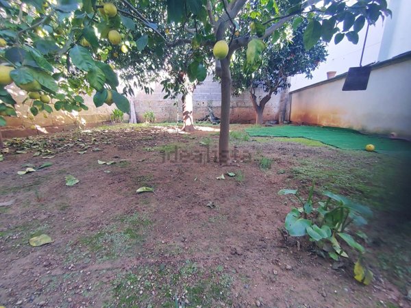 casa indipendente in vendita ad Alliste