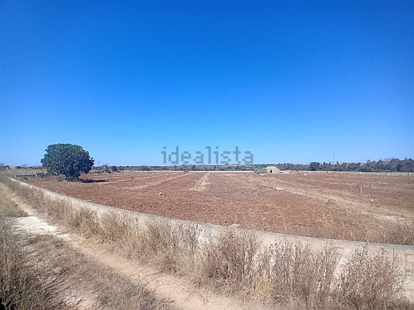 terreno agricolo in vendita ad Alliste in zona Felline