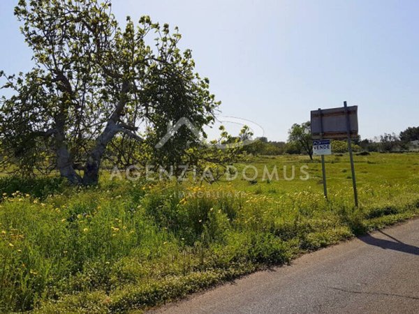 terreno agricolo in vendita ad Alliste in zona Posto Rosso
