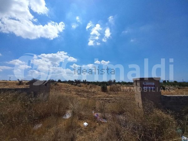 terreno agricolo in vendita ad Alliste