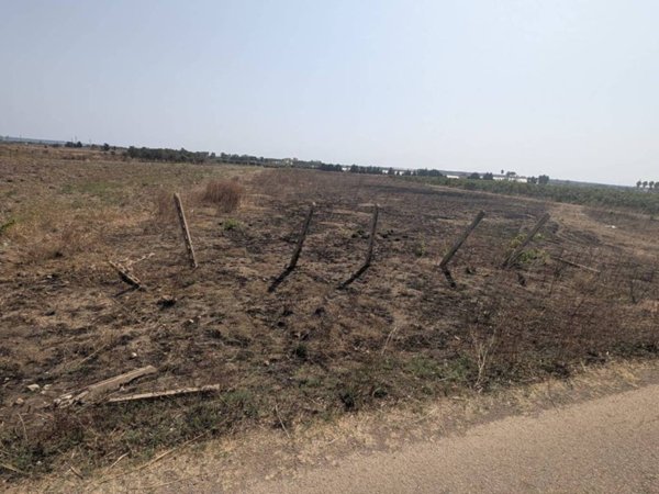 terreno in vendita ad Alliste