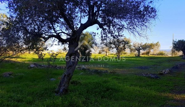 terreno edificabile in vendita ad Alliste
