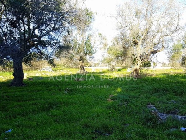 terreno in vendita ad Alliste