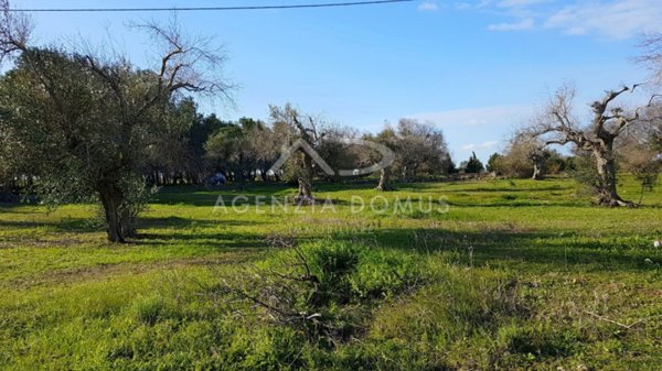 terreno in vendita ad Alliste