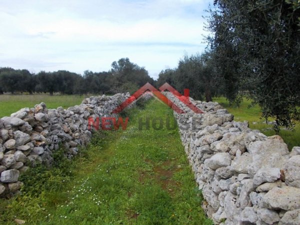 terreno agricolo in vendita ad Andrano