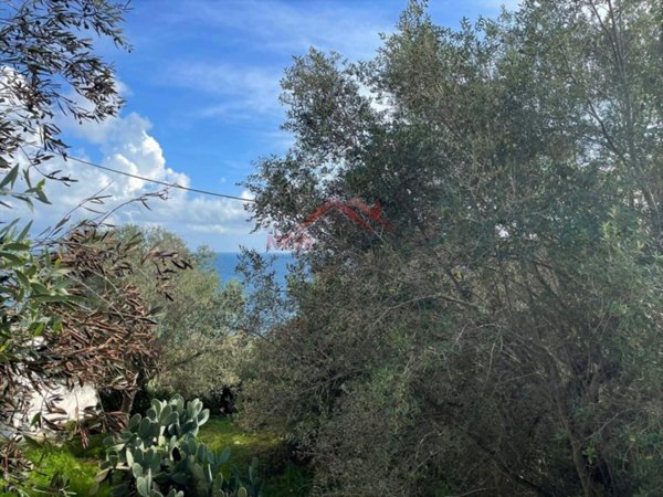 casa indipendente in vendita ad Andrano