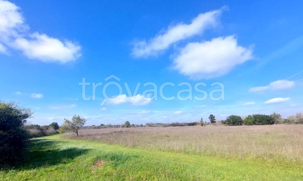 terreno agricolo in vendita ad Andrano