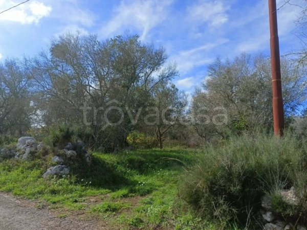 terreno agricolo in vendita ad Andrano in zona Marina di Andrano