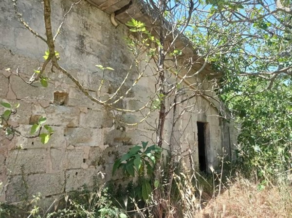 terreno agricolo in vendita ad Andrano in zona Marina di Andrano