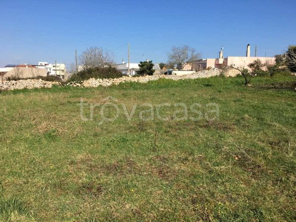 terreno agricolo in vendita ad Andrano