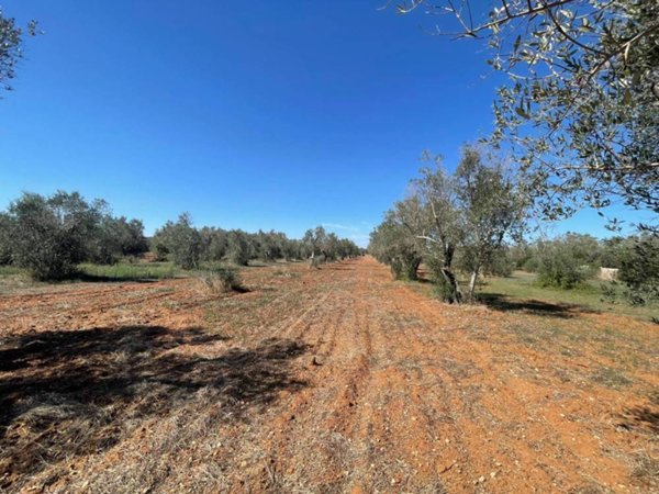casa indipendente in vendita ad Andrano in zona Marina di Andrano