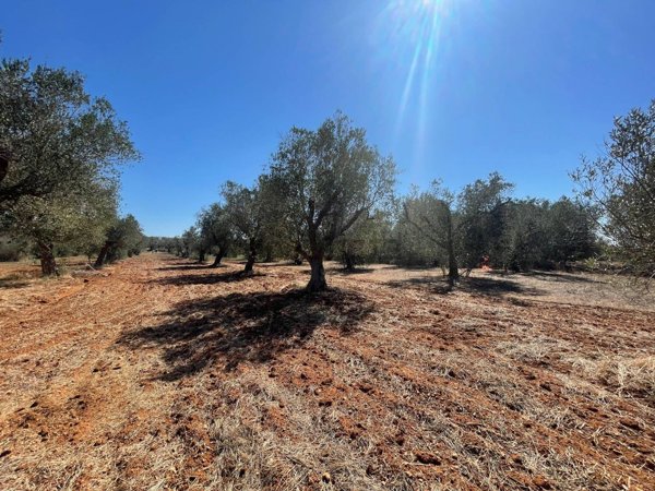 appartamento in vendita ad Andrano