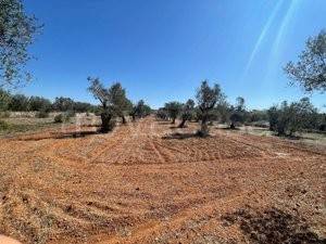 casa indipendente in vendita ad Andrano in zona Marina di Andrano