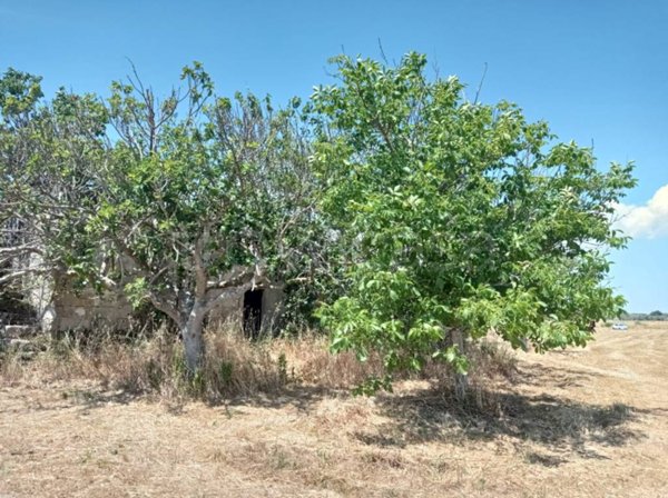 terreno agricolo in vendita ad Andrano