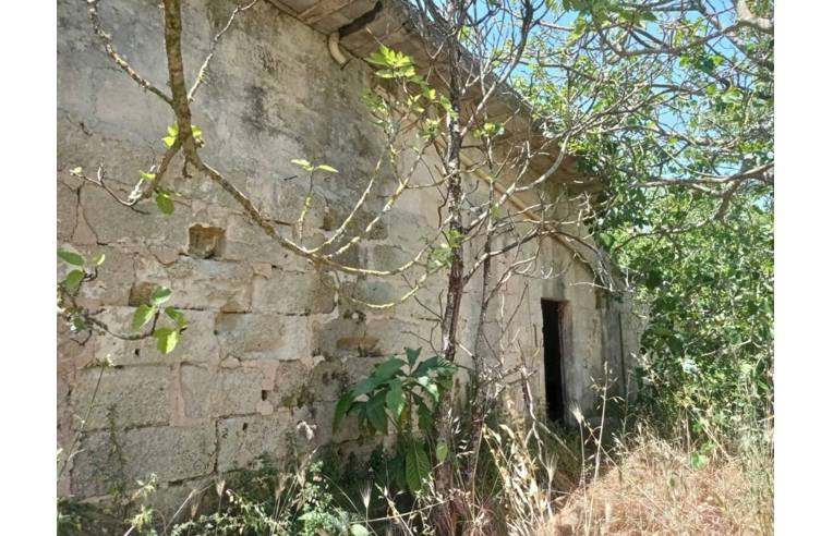 terreno agricolo in vendita ad Andrano in zona Marina di Andrano