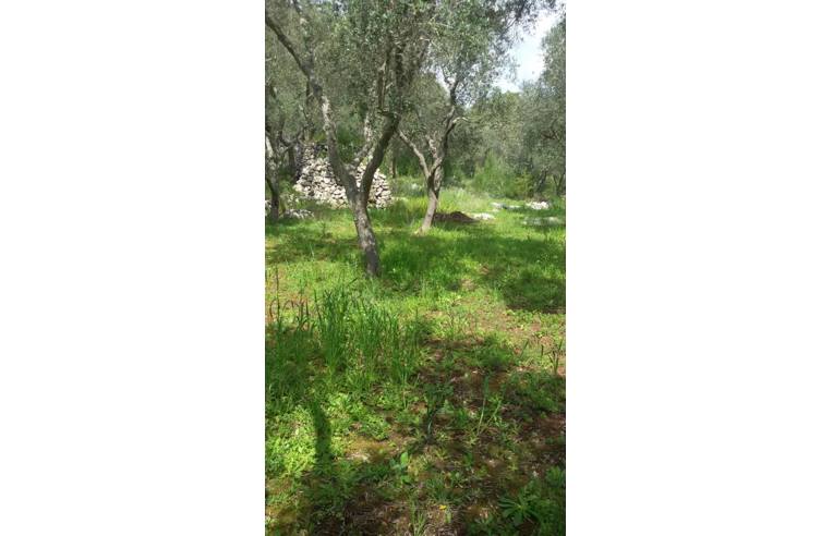 terreno agricolo in vendita ad Andrano in zona Marina di Andrano