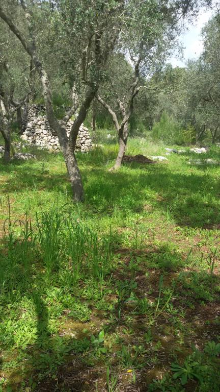 terreno agricolo in vendita ad Andrano in zona Marina di Andrano