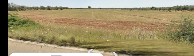 terreno agricolo in vendita ad Andrano