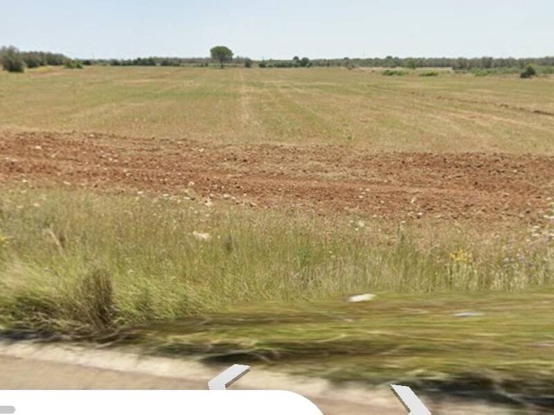 terreno agricolo in vendita ad Andrano