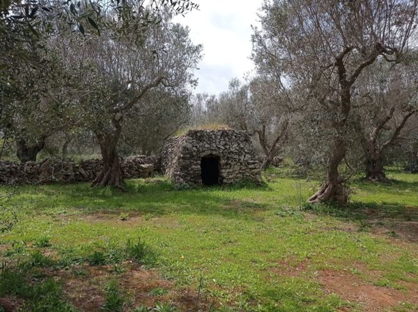 terreno agricolo in vendita ad Andrano
