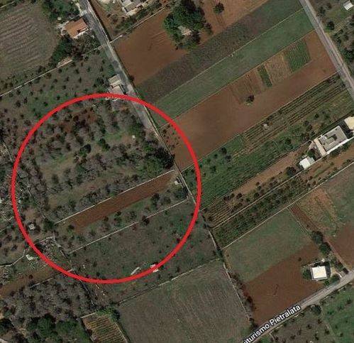 terreno agricolo in vendita ad Andrano